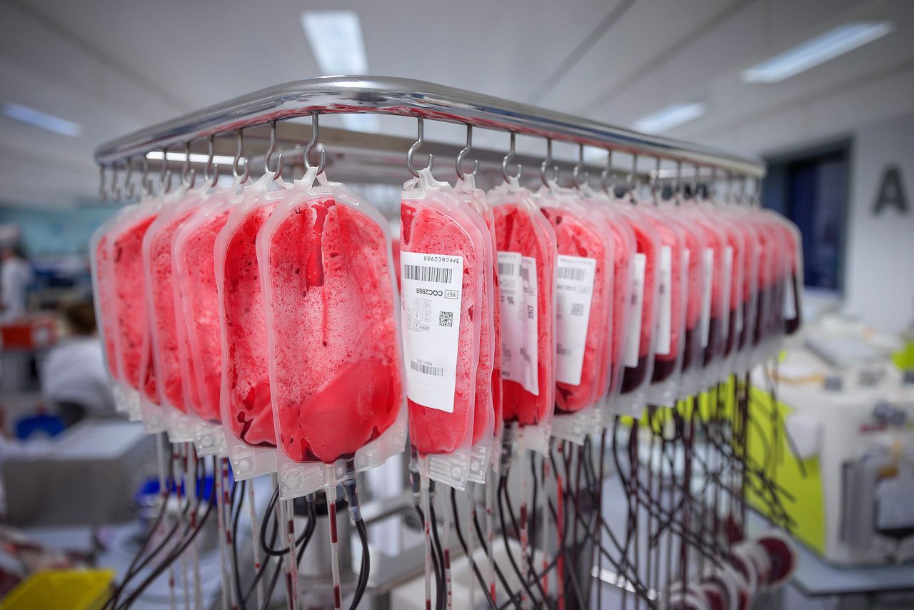 Zakken donorbloed in een bloedbank van Sanquin.