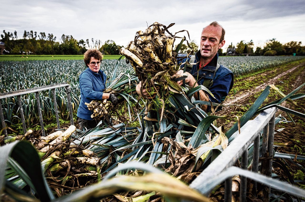 Meer boeren stappen over op biologisch, maar gaat het snel genoeg? 