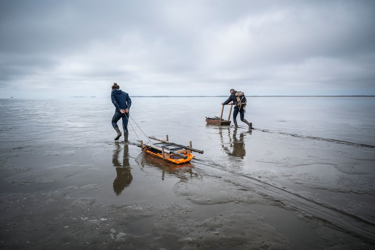 Boot Ameland