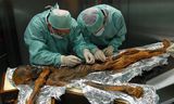 Onderzoek naar de maag van Ötzi uit 2010.