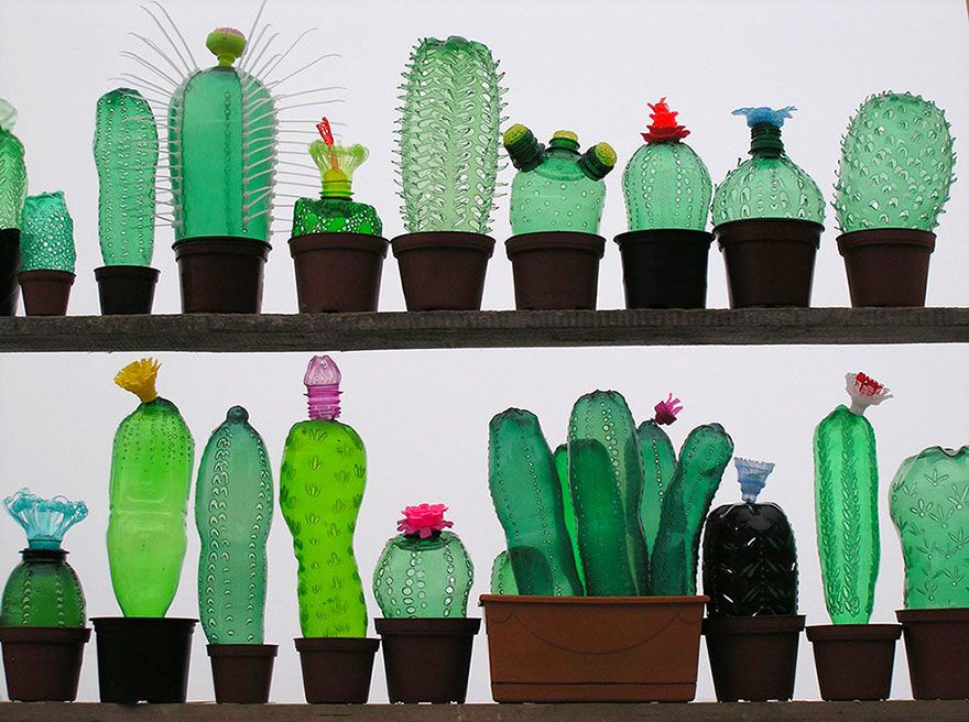 de elite mijn Interessant Is het een cactus? Nee, een waterfles. Plastic Fantastic: fles wordt kunst  - NRC
