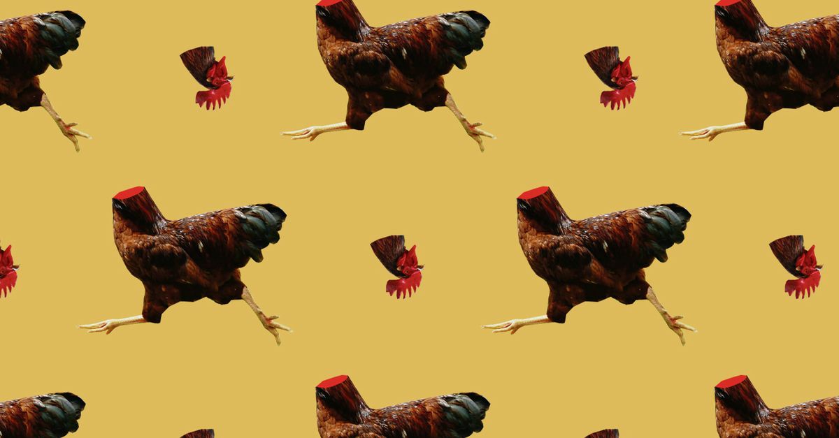 De stresskip versus de kip zonder kop NRC