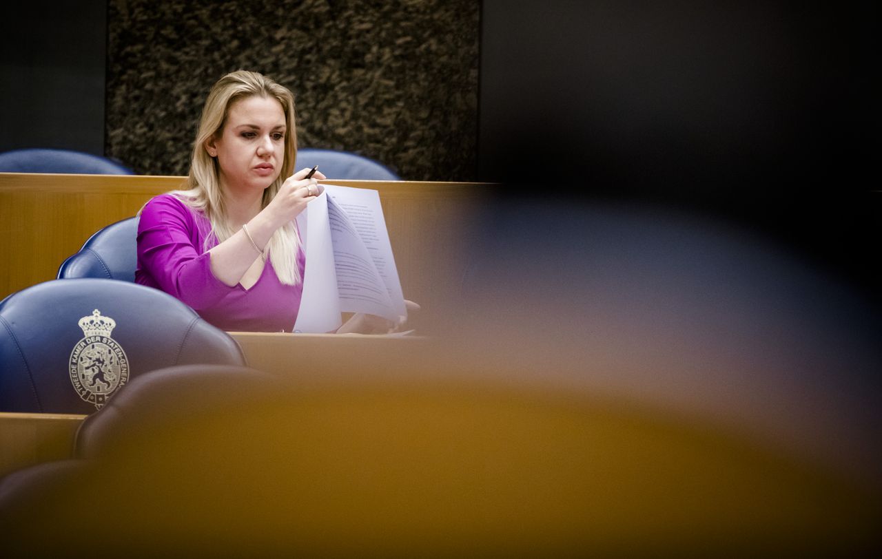 Voormalig PvdD-Kamerlid Van Kooten sluit zich aan bij ...