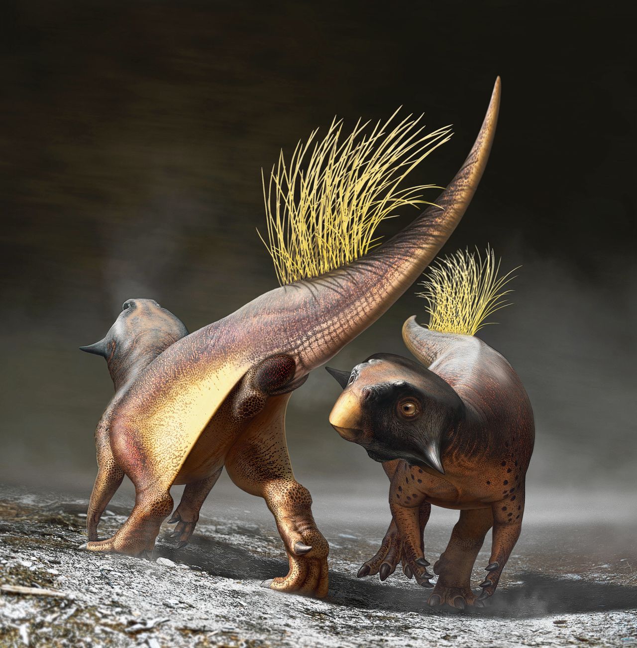 Dinosoort gebruikte cloaca om te communiceren 