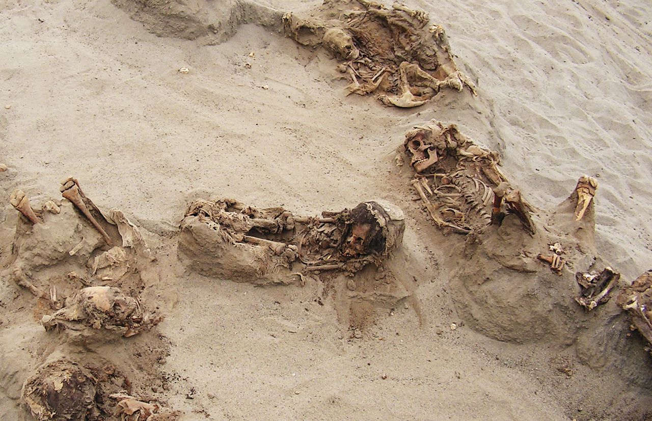 ‘Grootste kinderoffer ooit’ ontdekt in Peru 
