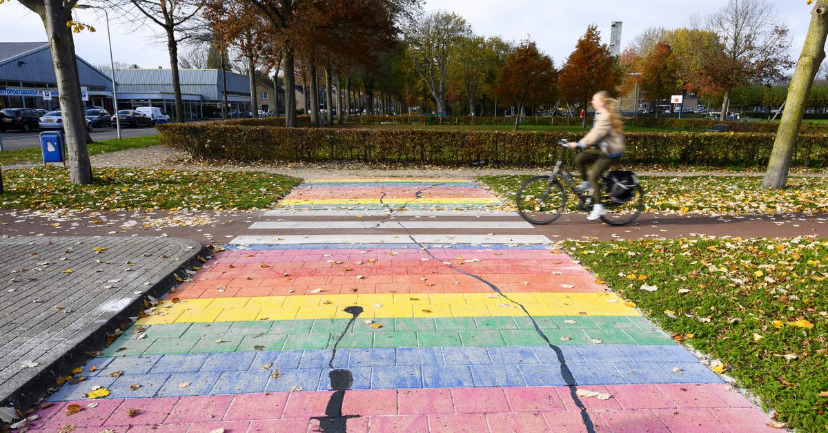 Acceptatie van homoseksualiteit onder Nederlandse jongens bijna gehalveerd in vier jaar. ‘Zo’n sterke daling hadden we niet verwacht’