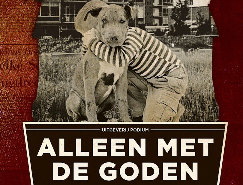 Boekhandelaren verkiezen roman Alex Boogers tot beste boek van 2015 - NRC