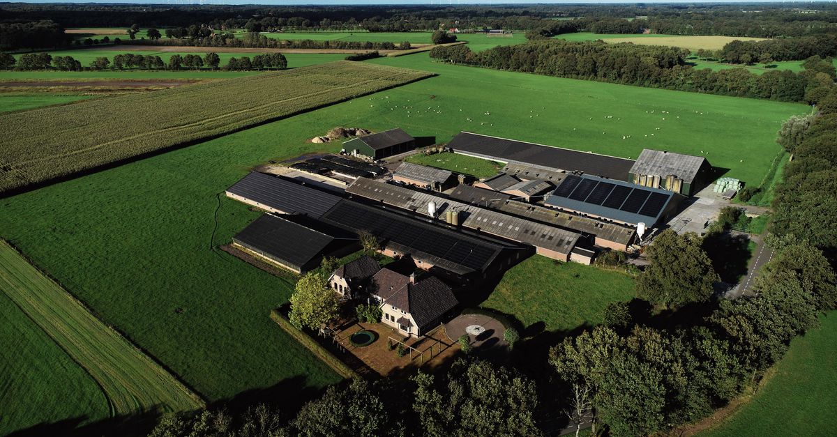 Deze boer kreeg toestemming om duizenden extra varkens te houden. Ondanks de stikstofcrisis