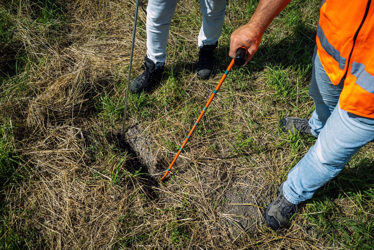 Grazing banned on Dutch dikes due to drought, stability at risk