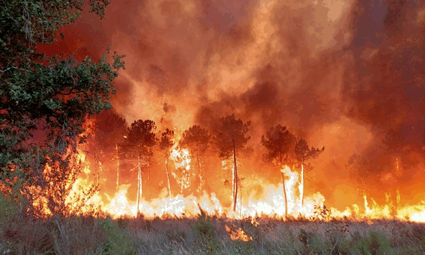 Natuurbranden houden Zuid-Europa in de greep 