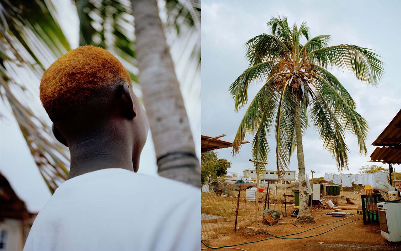 Gilleam Trapenbergs verbeelding van het Caribisch gebied 