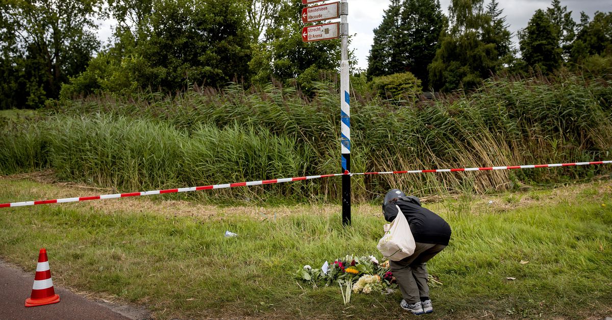 Hij kon zich wél alles herinneren, maar durfde nog niet te praten. Nu bekent de verdachte de moord op Lisa