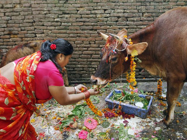 Diwali, het kleurrijke festival van het licht - NRC