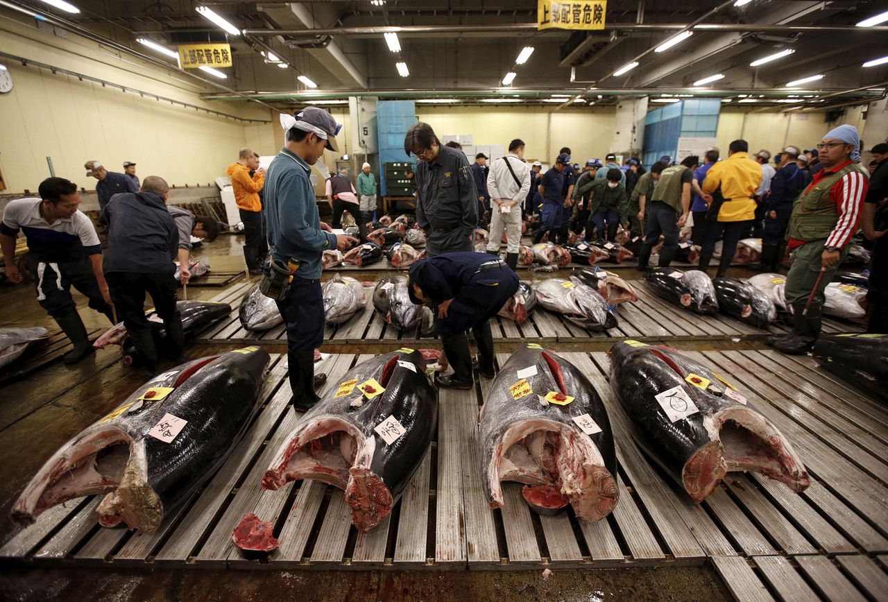 De gigantische vismarkt van Tsukiji sluit: hier werd elke dag 2.000 ton vis verhandeld 