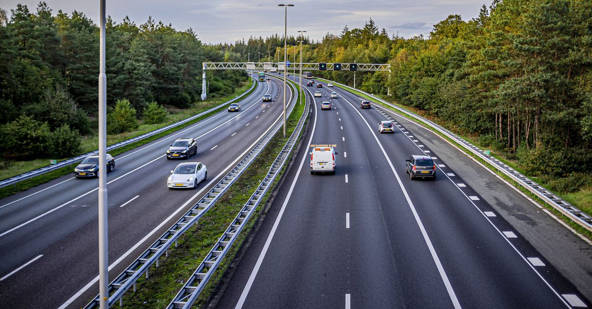 De takkengroei boven snelweg A50 ging ‘sneller dan gepland’ en dus zijn er al dagenlang files: ‘Veiligheid staat bij Rijkswaterstaat voorop’