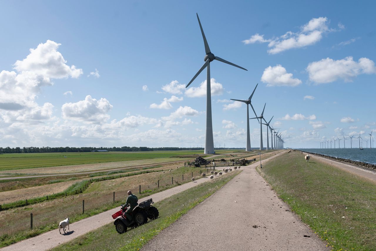 Nog meer windparken op het IJsselmeer, wat betekent dat voor de vogels? 