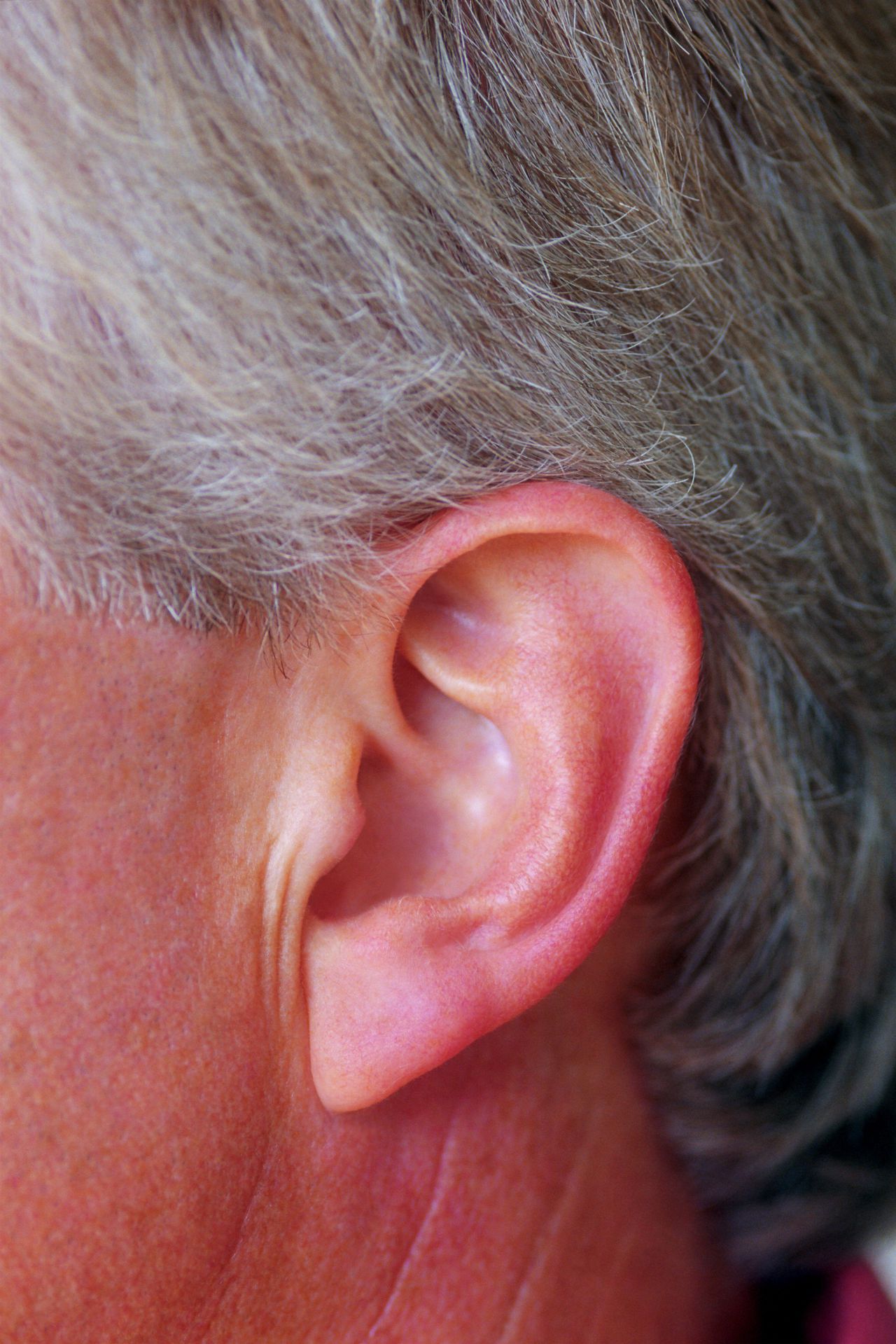 Ear of man (foto jupiterimages) grijs haar
