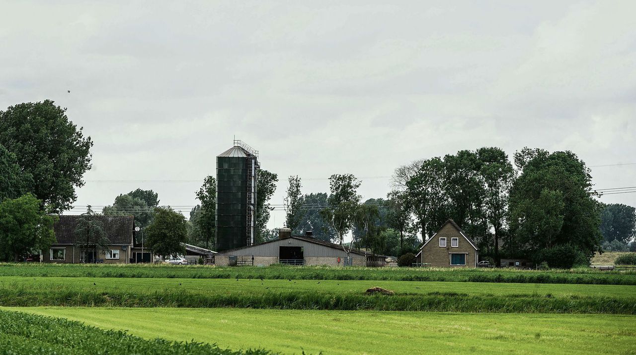 De boerderij van Hanneke van den Corput.