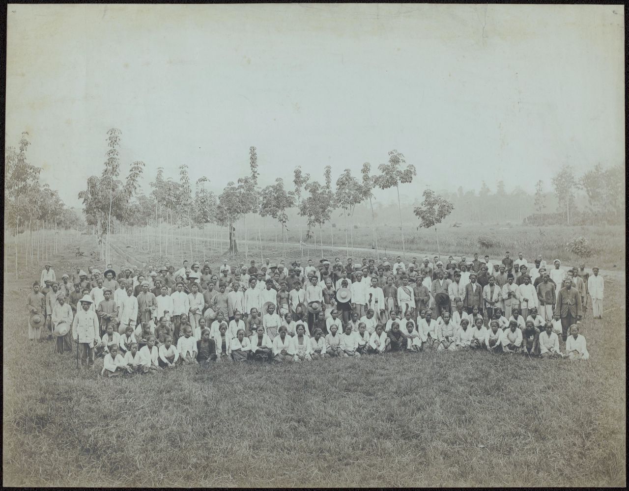 Groepsfoto van de mannelijke en vrouwelijke arbeiders van de rubberplantage Balang Seragam in Deli, Oost-Sumatra, 1880