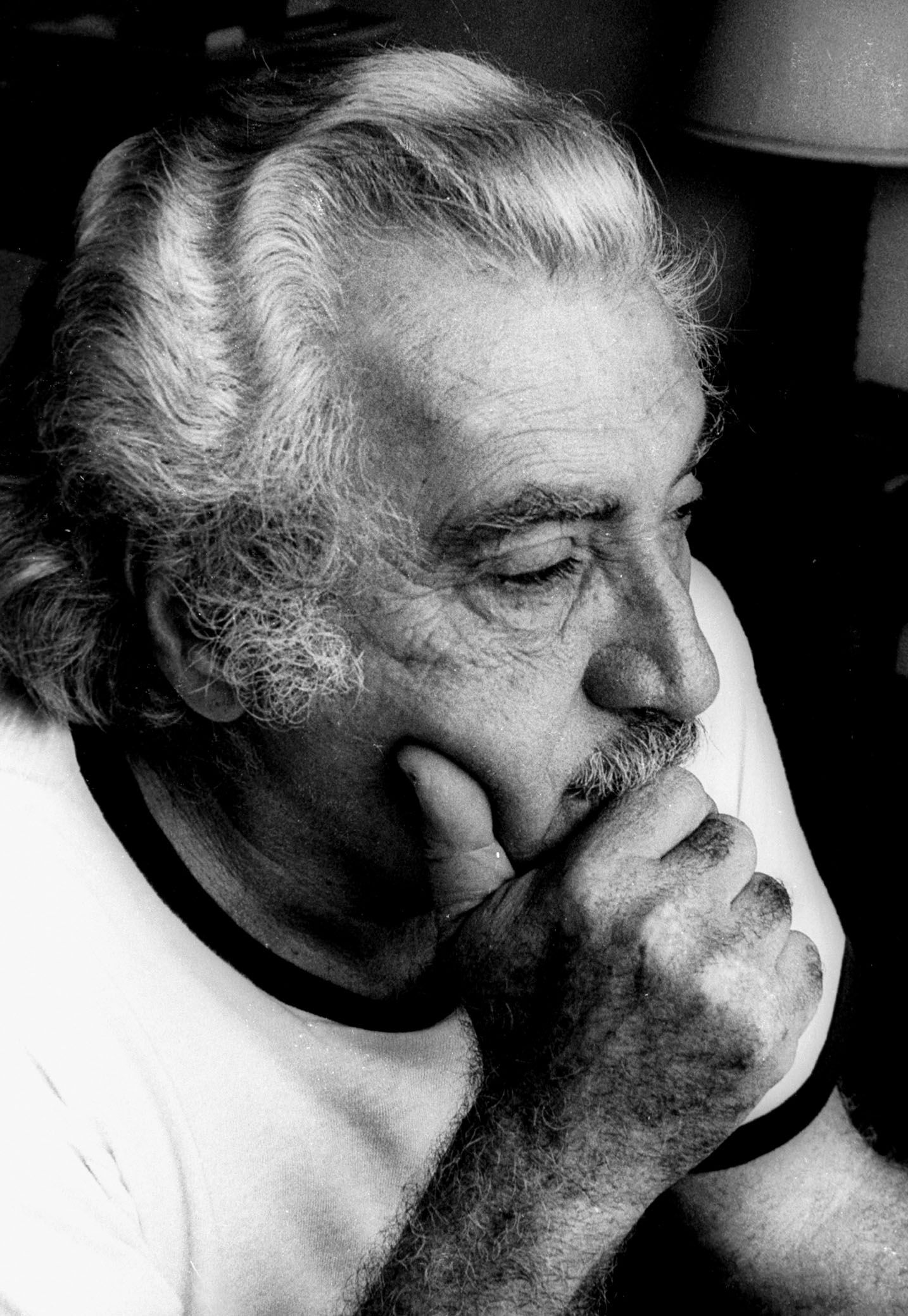 Дом жоржи амаду в бразилии. Жоржи амаду фото. Амаду википедия. Жоржи амаду бразильский писатель. Писатель жоржи амаду.