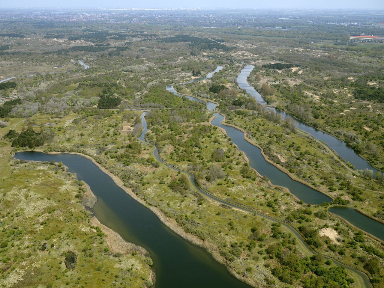 Does the filtering of water in the dunes lead to pollution of the soil?