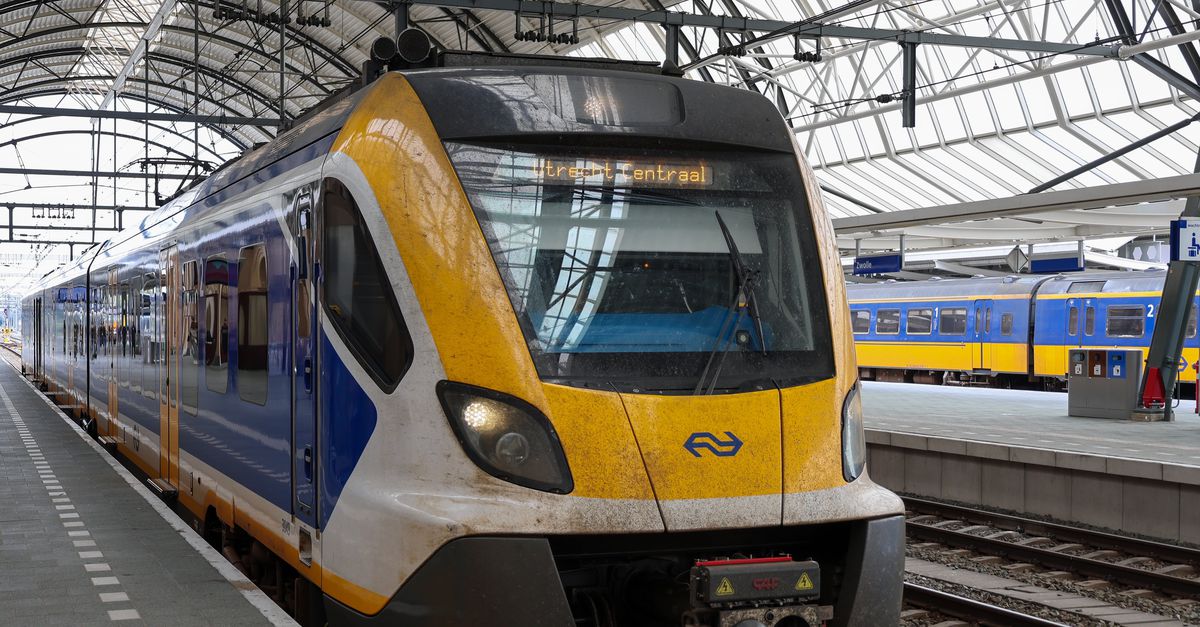 Verijdelde koperdiefstal verstoort treinverkeer rond Zwolle