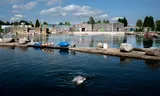 No fine for Dolfinarium for the time being: the judge will reverse the decision of State Secretary