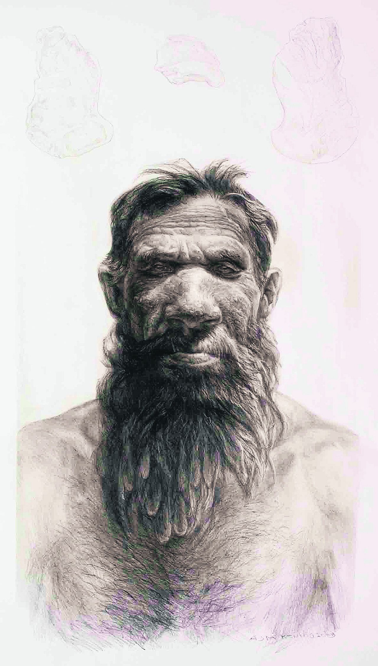 Reconstructie van de Nederlandse Neanderthaler, wiens schedelkapje in 2009 werd opgevist uit de Noordzee.