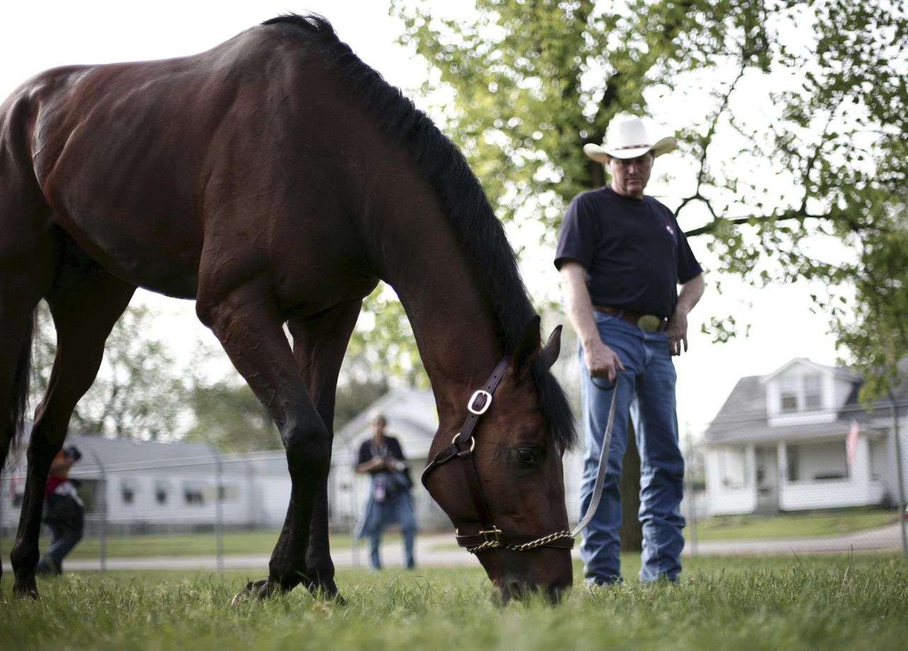 554 rozen voor een renpaard NRC