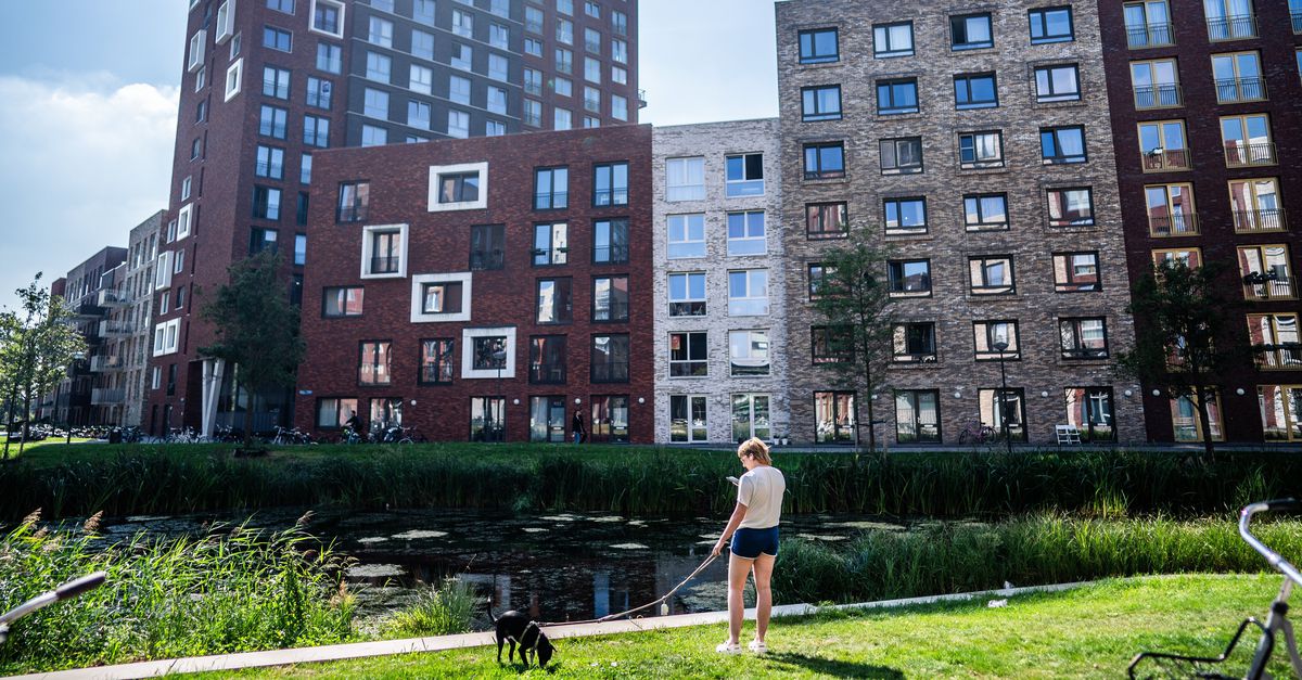 Studentenhuisvester DUWO krijgt kritiek op het voornemen om hospiteren te beperken. Doen we al jaren, aldus SSH, gaat prima. 'Ontmoedigen of discriminatie is verboden'