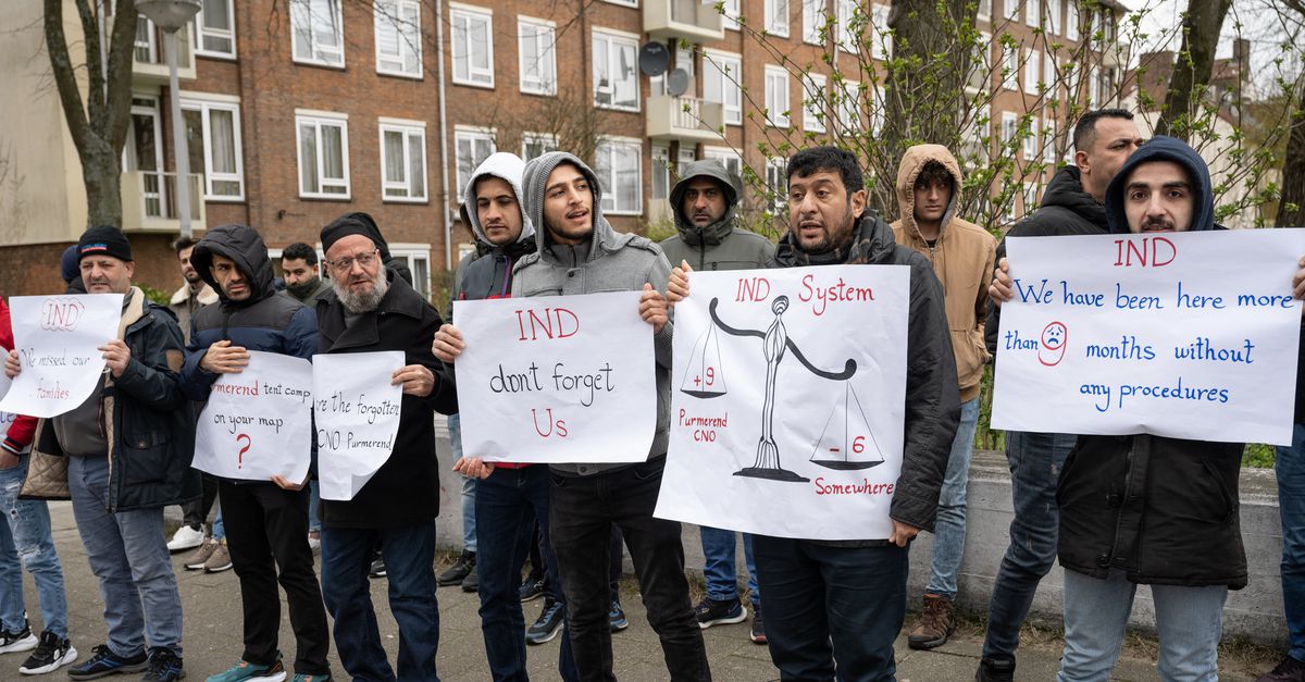 Katta nipellar videolarini tomosha qiling