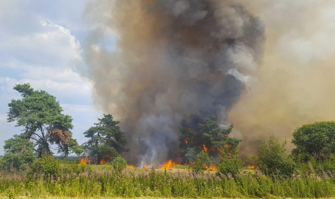 Brand in nationaal park De Hoge Veluwe.