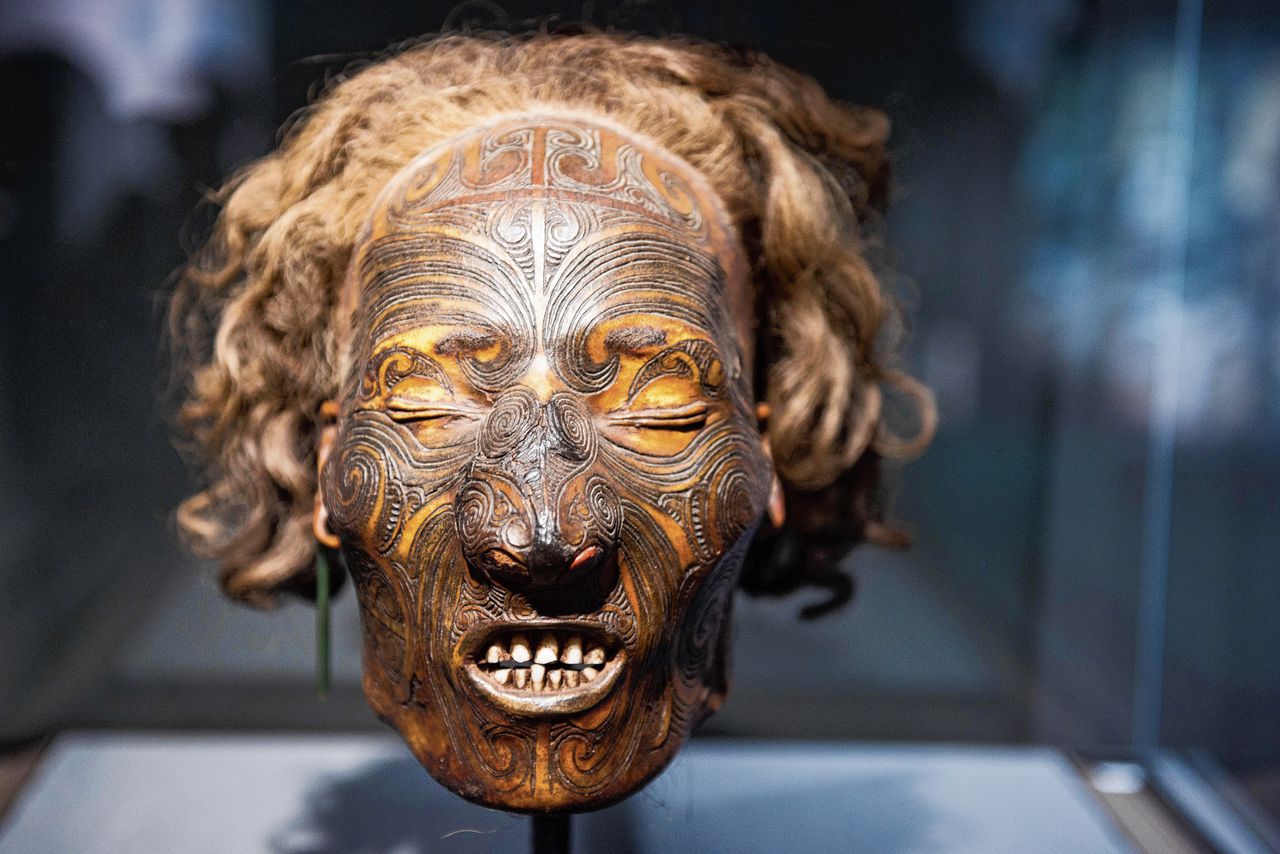 Een gemummificeerd en getatoeerd Maori-hoofd, in een vitrine in een museum in Mannheim.