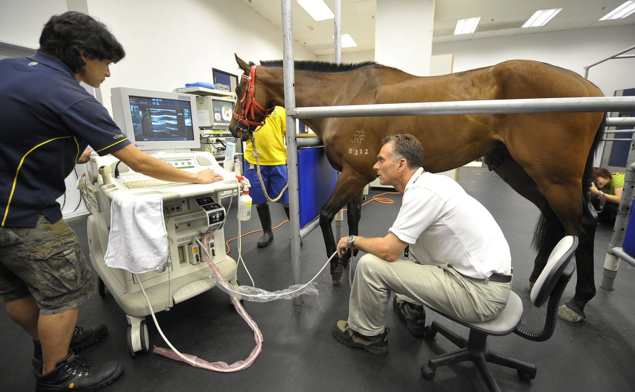 Airco en koelkast in de olympische paardenstal NRC