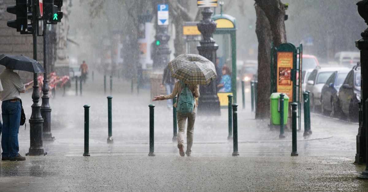 Waardoor ruikt regen zo lekker?