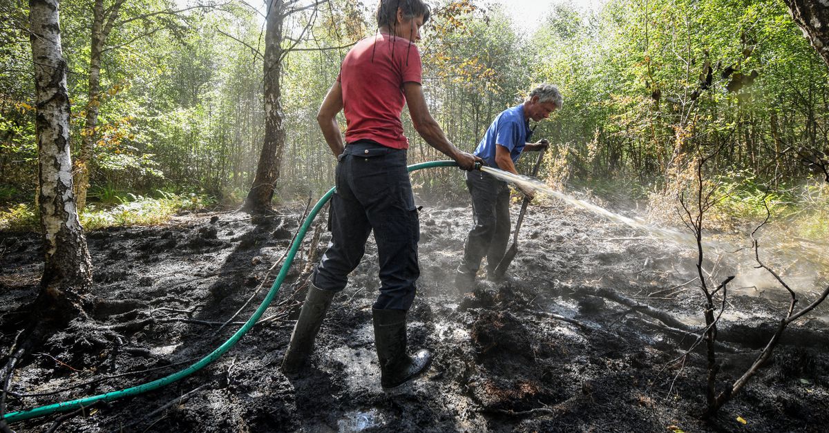 In De Deurnsche Peel Was Het Vuur Weg Maar De Brand Bleef Nrc