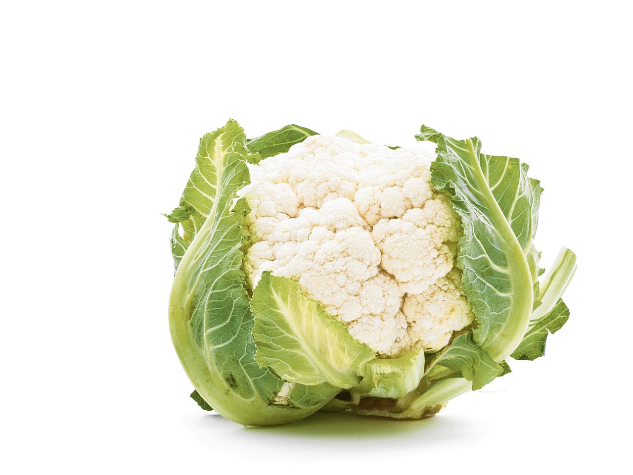 Cauliflower on white background, studio shot