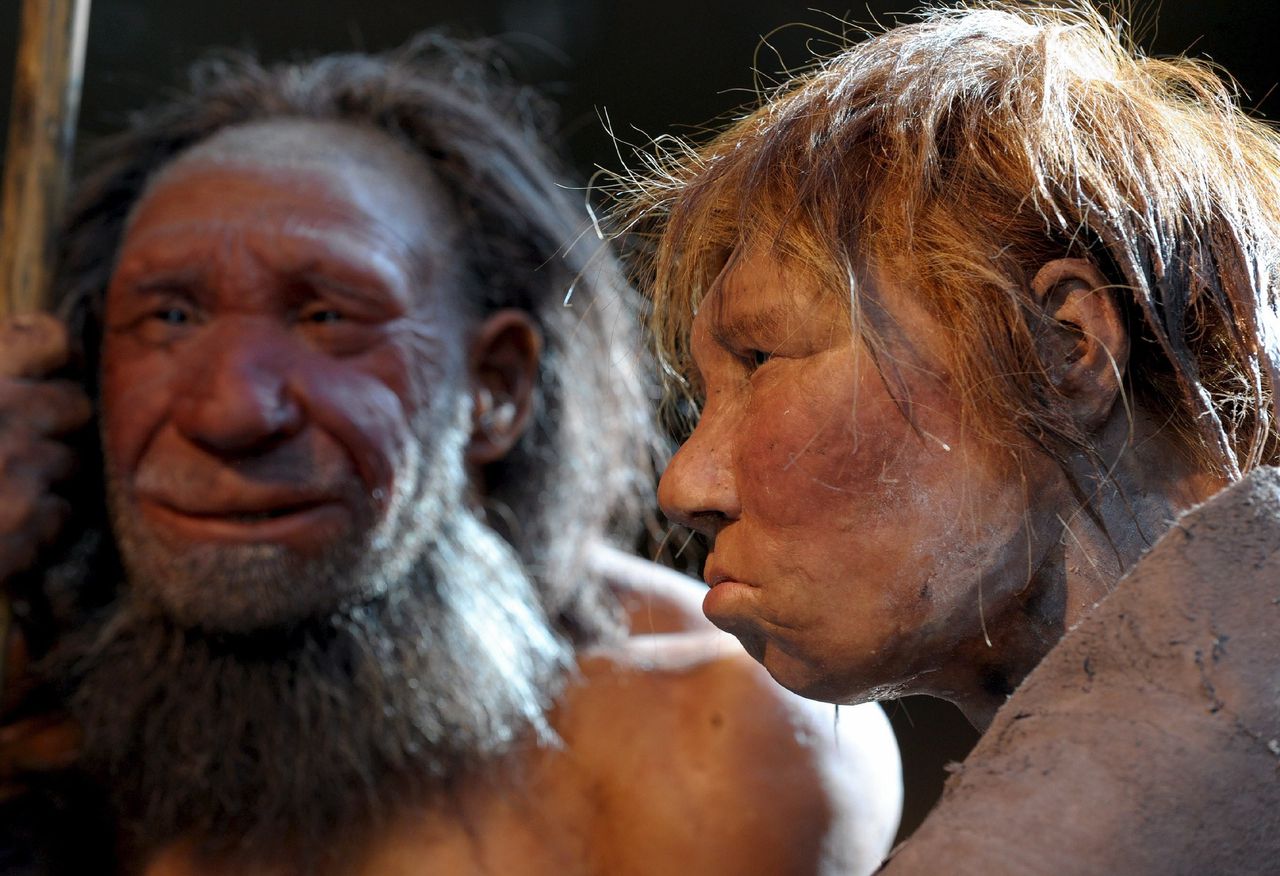 Neanderthalers stierven misschien bij toeval uit 