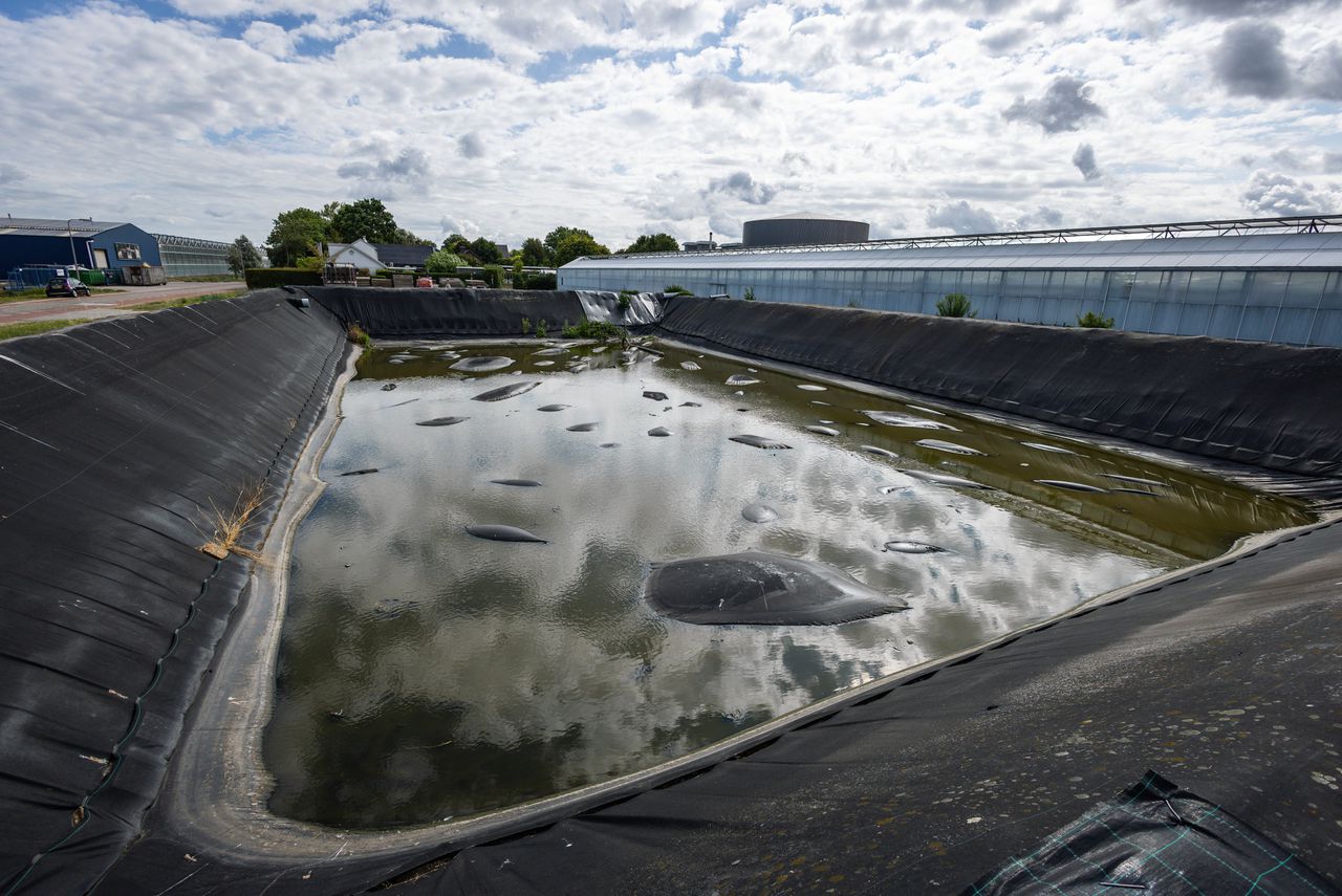Westland faces water crisis as authorities ban extraction; farmers offer to pay for treated sewage water