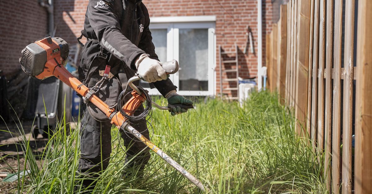 Hovenier knapt gratis verwaarloosde tuinen op. ‘Ik probeer mensen weer licht en lucht te geven’