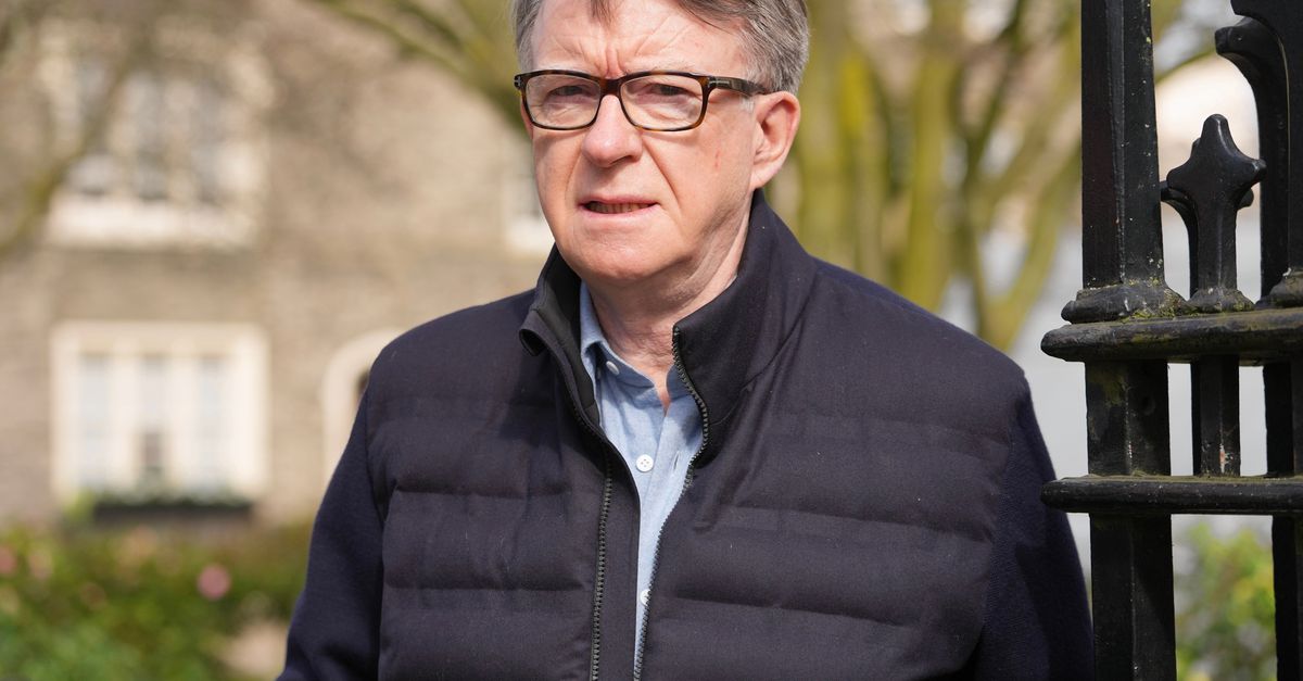 Mandelson kwam niet door screening, maar werd toch Britse ambassadeur in VS