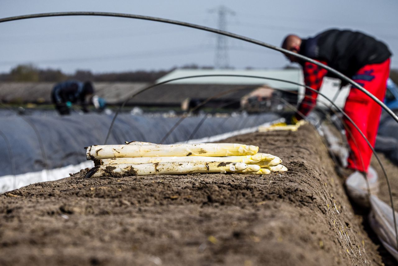Waarom is het zo moeilijk de arbeidsmarkt te hervormen? 