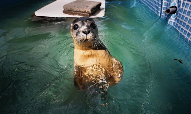 Gerelateerde afbeelding