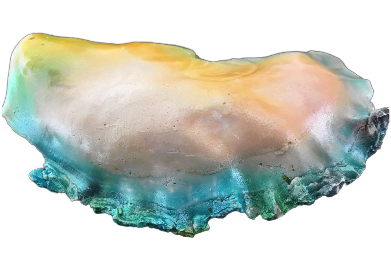 Gekleurde oester van Zeger Reyers.