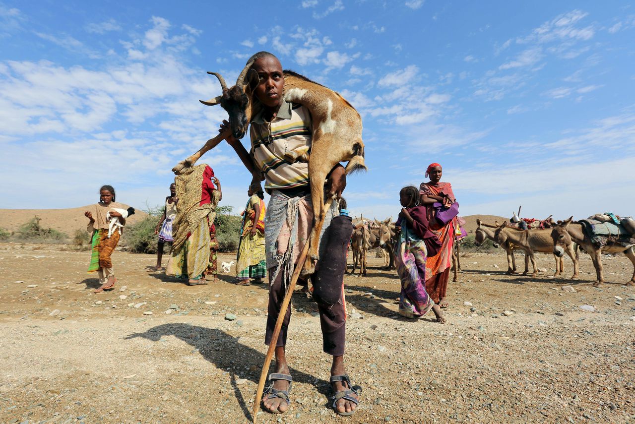 In Somaliland in de Hoorn van Afrika zorgt aanhoudende droogte voor grote voedsel- en watertekorten.
