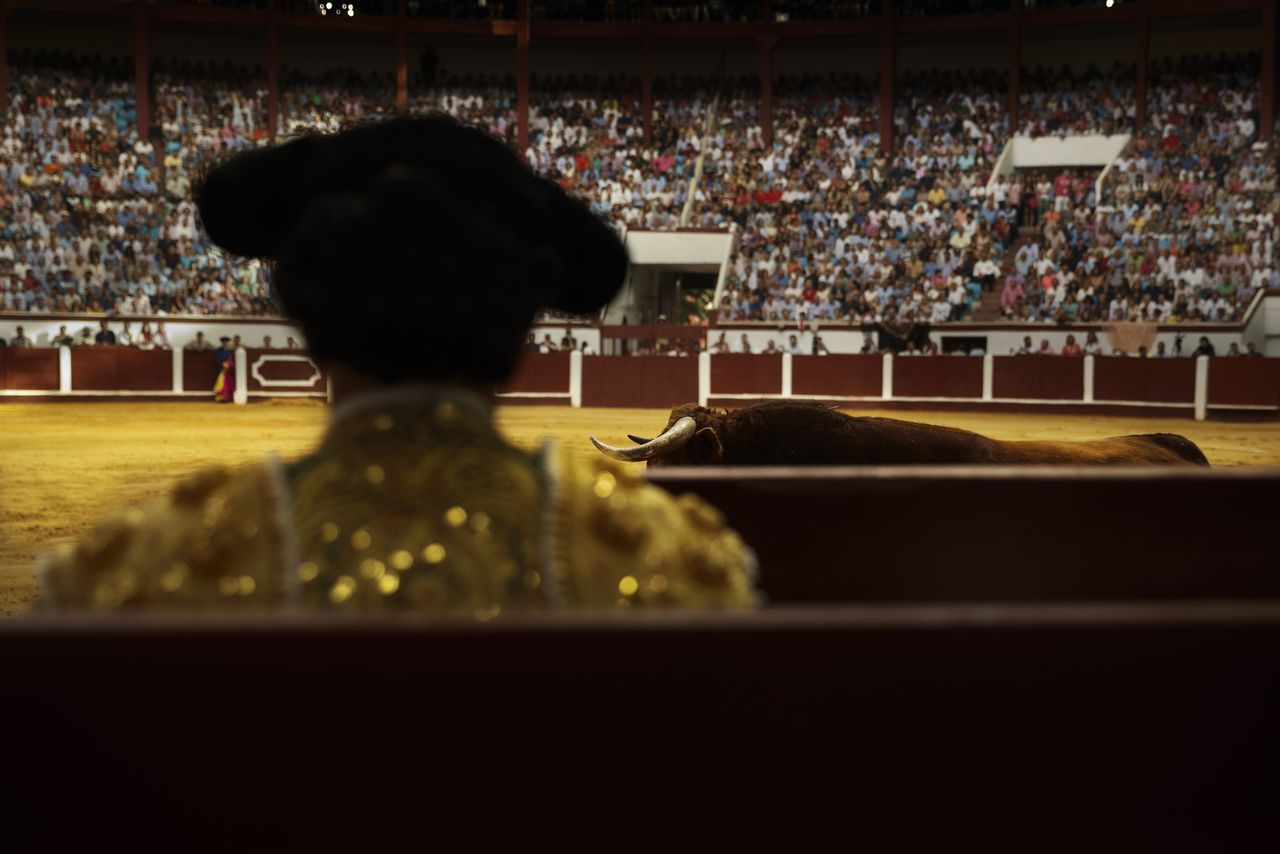 Stierenvechten is in Spanje sinds 2013 cultureel erfgoed.