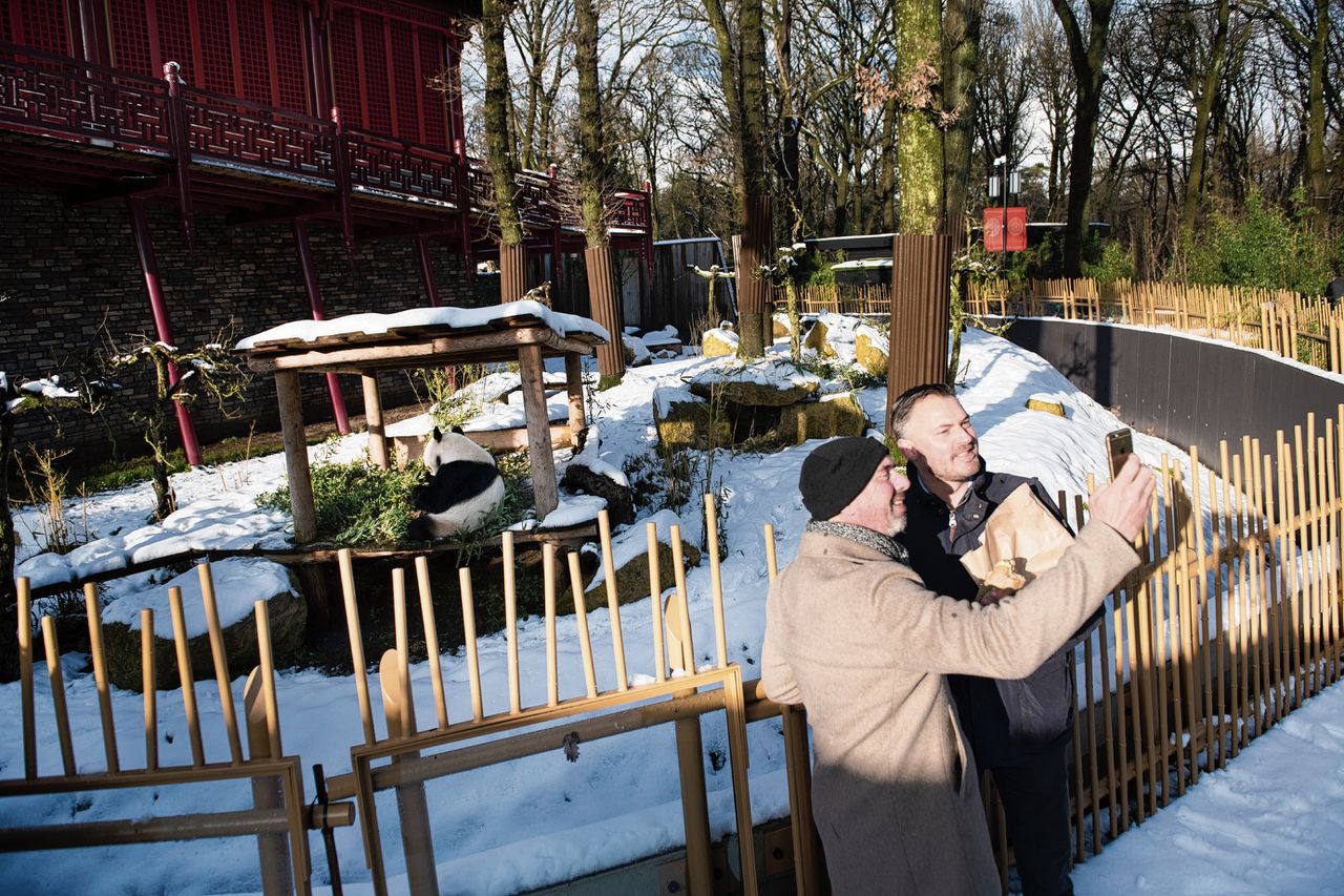 Deelnemers aan de cursus ‘corporate culture’ in het Ouwehands Dierenpark in Rhenen, waar sinds deze zomer ook reuzenpanda’s Xing Ya en Wu Wen wonen.