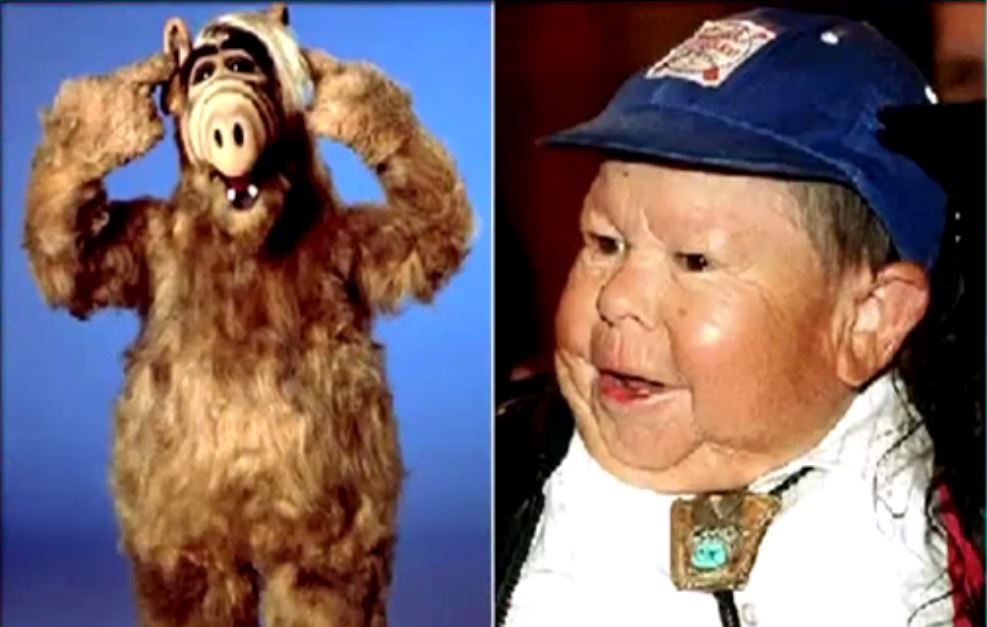 Alf Acteur Michu Meszaros 76 Overleden Nrc