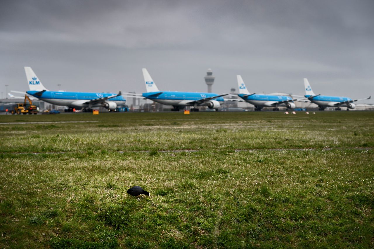 Schiphol, op 30 maart, waar vliegtuigen geparkeerd staan op de Aalsmeerbaan vanwege de coronacrisis.