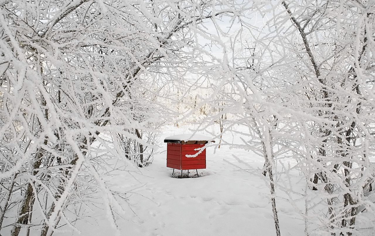 Een bijenhuis in de winter. Foto Getty Images/iStockphoto